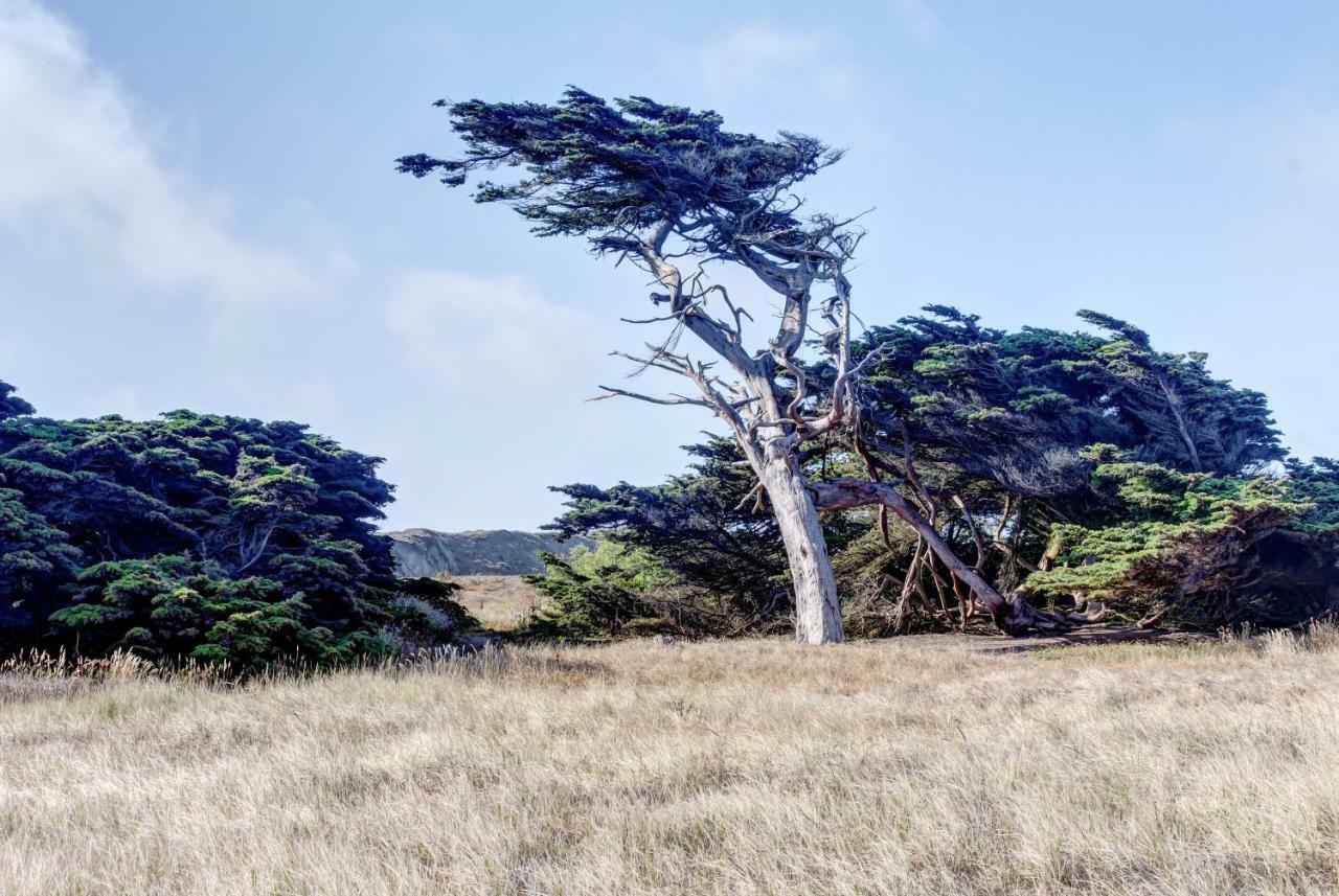 Bayside Cottage Bodega Bay Exterior photo